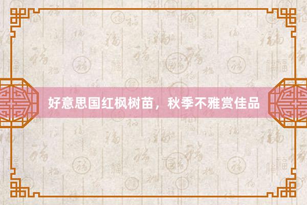 好意思国红枫树苗，秋季不雅赏佳品