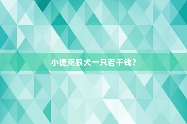 小捷克狼犬一只若干钱？